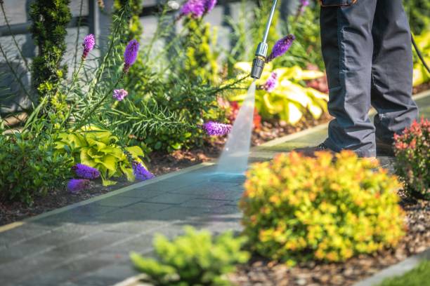 Best Pre-Holiday Cleaning  in Garden City, KS